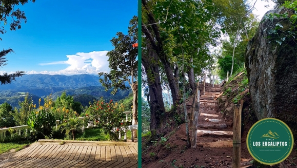 [Imagen:¡Paga Q99 en Lugar de Q295 por Camping para 4 con: 4 Desayunos Típicos o de Pancakes + 4 Bebidas a Elección (Café, Jugo de Naranja o Jamaica) + Uso de Instalaciones y Actividades de Montaña: Senderismo, Puentes, Hamacas, Granjita!]