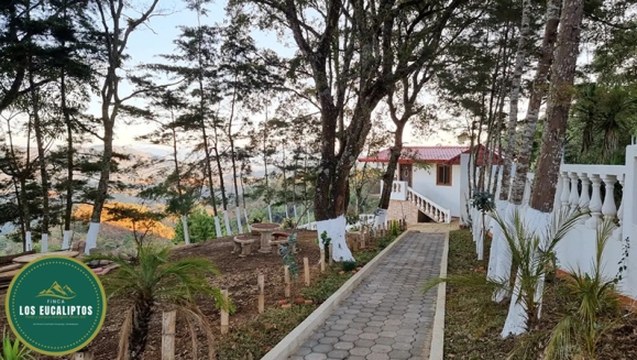 [Imagen:¡Paga Q99 en Lugar de Q295 por Camping para 4 con: 4 Desayunos Típicos o de Pancakes + 4 Bebidas a Elección (Café, Jugo de Naranja o Jamaica) + Uso de Instalaciones y Actividades de Montaña: Senderismo, Puentes, Hamacas, Granjita!]