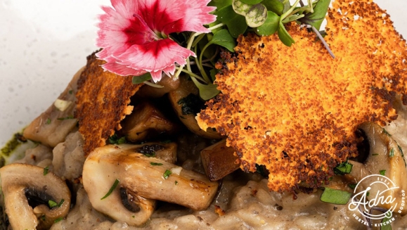 [Imagen:¡Paga Q390 en Vez de Q825 por Exquisito Menú a Elección para hasta 4 con: 2 Entradas (Tacos de Pulpo, Ceviche y Otros) + 2 Platos Fuertes (Entraña del Chef, Cs, Langostinos y Otros) + 1 Botella de Vino + 1 Postre!]