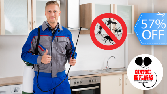 [Imagen:¡Paga Q279 en lugar de Q650 por Fumigación de Plagas Hasta 10 Ambientes + Tratamiento para Jardín + Tratamiento para Alcantarillas y Drenajes con Fumigación Total!]