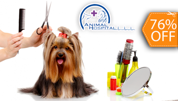 [Imagen:¡Paga $15 en lugar de $62 por 3 Paquetes de Grooming para tu Mascota que Incluyen: 3 Baños + 3 Secados + 3 Cortes de Uñas + 3 Limpiezas de Oídos + 3 Peinados + 1 Desparasitante y Más en Animal Hospital!]