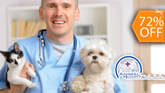 [Imagen:¡Paga $76 en lugar de $273.76 por 1 Cirugía de Castración + Electrocardiograma + 1 Hemograma + Glucosa + Perfil Renal + Perfil Hepático + 3 Días de Internación en Animal Hospital!]