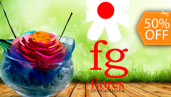 [Imagen:¡Paga $15 en lugar de $30 por Delicado Arreglo de Rosa Preservada en Flores de Guatemala! ¡Solo 203 Cupones Disponibles!]