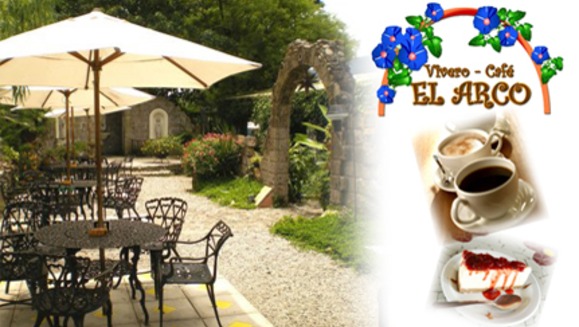 [Imagen:Pagas $8 y consumes $18 de bebidas, sándwiches y postres en Vivero Café El Arco!]