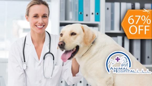 [Imagen:¡Paga $125 en lugar de $383.75 por Cirugía de Esterilización + Evaluación Pre-cirugía + Electrocardiograma + Exámenes de Laboratorio Pre-quirúrgicos + 3 Días de Internación + Consulta Pos-quirúrgica en Animal Hospital!]