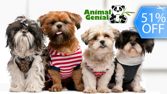 [Imagen:¡Paga Q79 en vez de Q160 por Grooming Completo que incluye: Shampoo Antialérgico + Acondicionador + Corte + Secado + Cepillado + Limpieza de Glándulas y Oídos + Corte de Uñas y Perfumado + Moña o Corbatín + 1 Galletita en Animal Genial!]