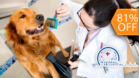 [Imagen:¡Paga $10 en lugar de $52 por 2 Paquetes de Grooming para tu Mascota que Incluye: 2 Baños + 2 Secados + 2 Cortes de Uñas + 2 Limpiezas de Oídos + 2 Peinados + 1 Desparasitante en Animal Hospital!]