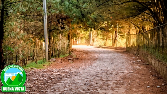 [Imagen:¡Conéctate con la Naturaleza en Miramundo, Chalatenango! ¡Paga $42 en Lugar de $80 por Estadía de 1 Noche para 4 Personas + Almuerzos: 4 Hamburguesas con Papas Fritas y 4 Bebidas!]