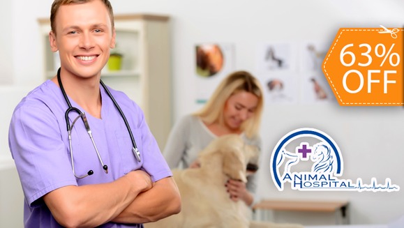 [Imagen:¡Vete tranquilo a tus Vacaciones! ¡Paga $12 en lugar de $32 por 2 Días de Hospedaje para tu Mascota en Animal Hospital!]