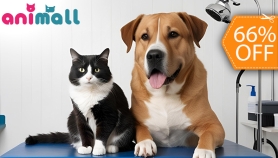 [Image: Grooming para Perro o Gato: Baño + Corte + Limpieza de Oídos y Másm]